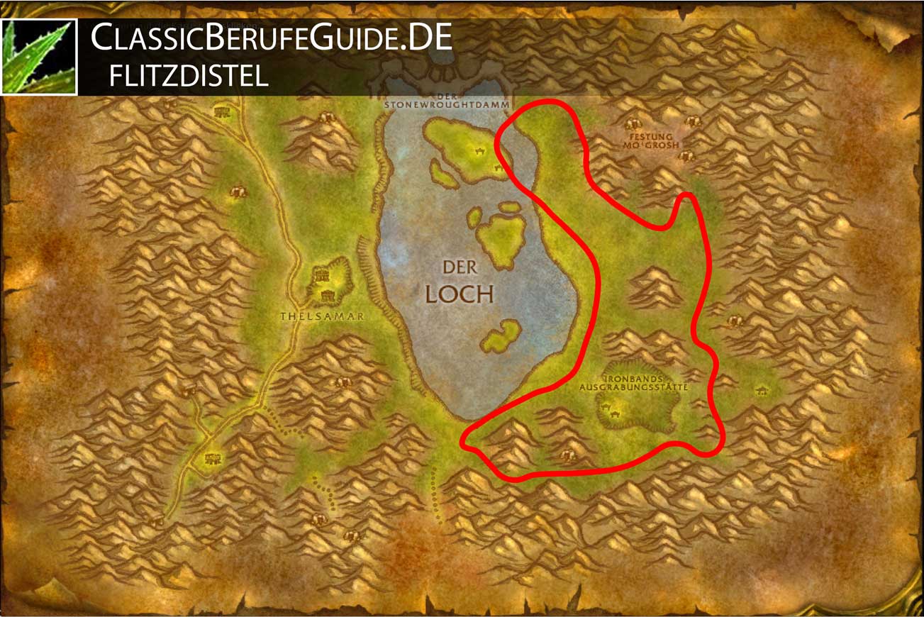 Wow-classic-flitzdistel-farmen-lochmodan-allianz-1